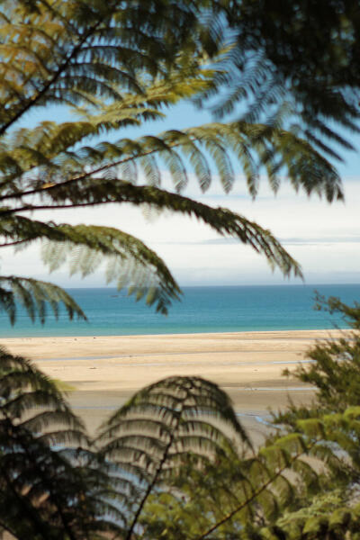 Ferns Sky Beach 2