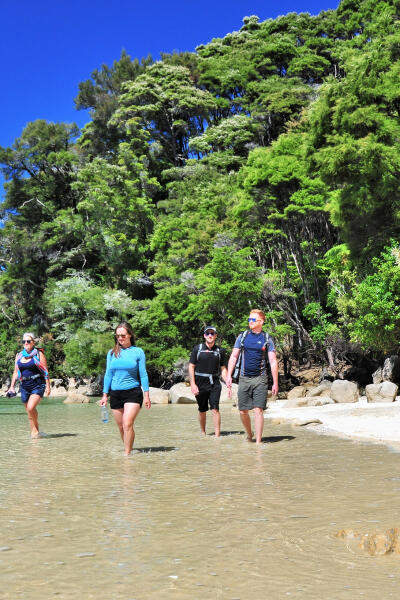 Group Walking